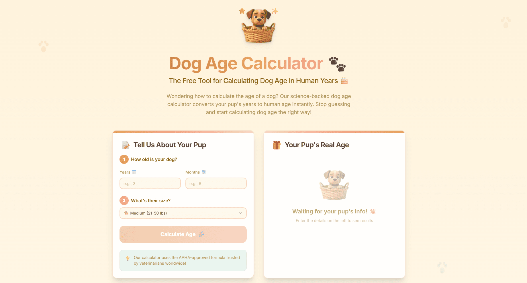 How to Estimate a Dog's Age
